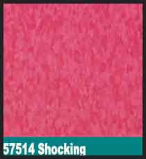 57514 Shocking